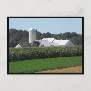 ~ Summer in Lancaster County ~ 70 Briefkaart