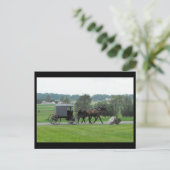 ~ Summer in Lancaster County ~ 72 Briefkaart (Staand voorkant)