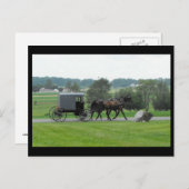 ~ Summer in Lancaster County ~ 72 Briefkaart (Voorkant / Achterkant)