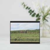 ~ Summer in Lancaster County ~ 76 Briefkaart (Staand voorkant)