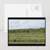 ~ Summer in Lancaster County ~ 76 Briefkaart (Voorkant / Achterkant)