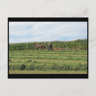 ~ Summer in Lancaster County ~ 76 Briefkaart