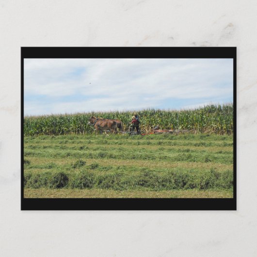 ~ Summer in Lancaster County ~ 76 Briefkaart (Voorkant)