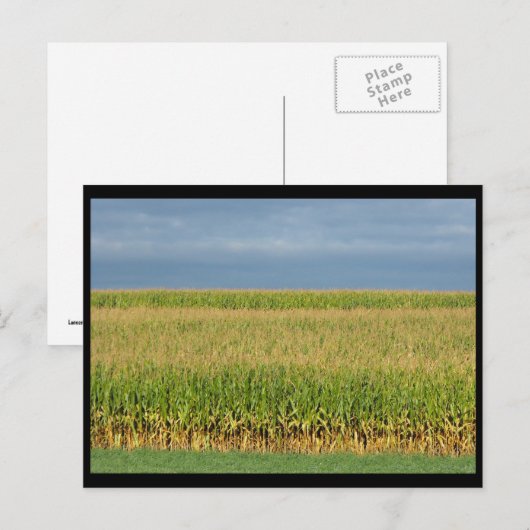 ~ Summer in Lancaster County ~ 82 Briefkaart (Voorkant / Achterkant)