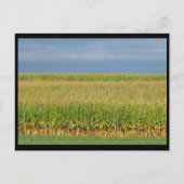 ~ Summer in Lancaster County ~ 82 Briefkaart (Voorkant)