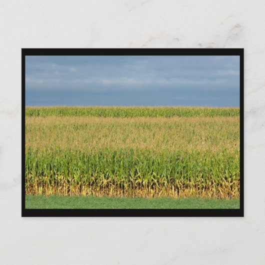 ~ Summer in Lancaster County ~ 82 Briefkaart (Voorkant)