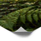 Summer in the Fourfold Forest Poster (Hoek)