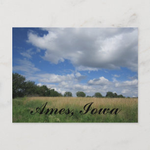 Summer Iowa Prairie Ames, Iowa Briefkaarten