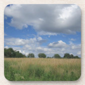 Summer Iowa Prairie Bier Onderzetter (Voorkant)