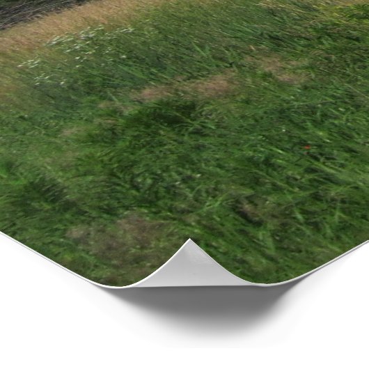 Summer Iowa Prairie Poster (Hoek)