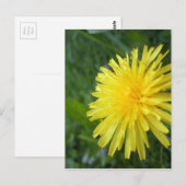 Summer Jewel Briefkaart (Voorkant / Achterkant)