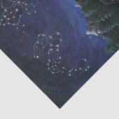 Summer Knachten Tissuepapier (Detail)