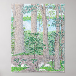 Summer Lake met Bossen gekleurde potloodtekening Poster