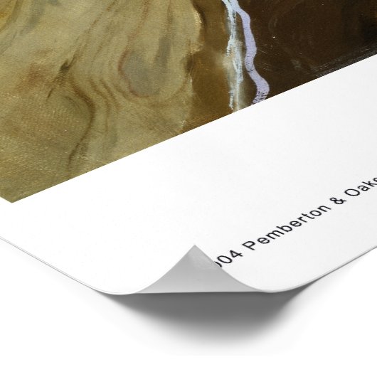 Summer Lake Poster (Hoek)