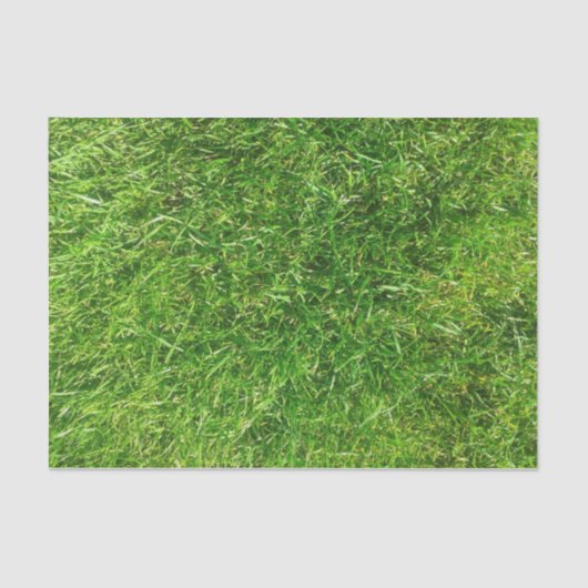 Summer Lawn Tissuepapier (Voorkant)