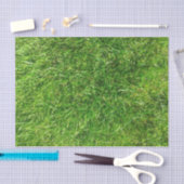 Summer Lawn Tissuepapier (Craft)