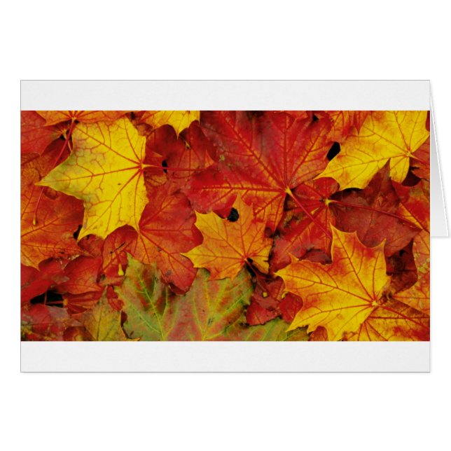 SUMMER LEAVES (Voorkant Horizontaal)