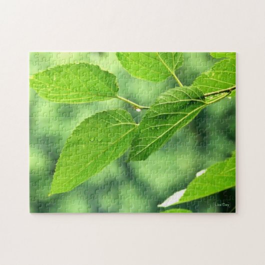 'Summer Leaves with Raindrops'-puzzel Legpuzzel (Horizontaal)