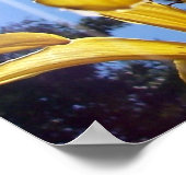 Summer Lilies Series 4 Poster (Hoek)