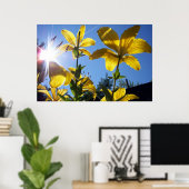 Summer Lilies Series 4 Poster (Thuiskantoor)