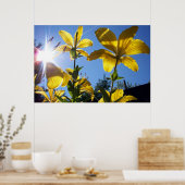 Summer Lilies Series 4 Poster (Keuken)