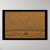 Summer Love Poster (Voorkant)