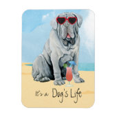 Summer Mastino Magnet Magneet (Verticaal)