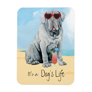 Summer Mastino Magnet Magneet