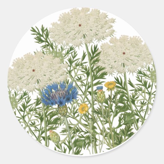 Summer Meadow Flowers Queen Anne's Lace  Ronde Sticker (Voorkant)