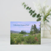 Summer Meadow in Yellowstone Briefkaart (Staand voorkant)