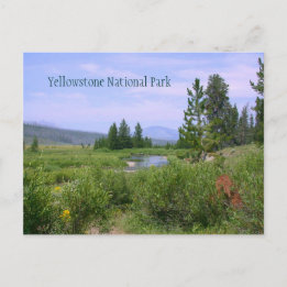 Summer Meadow in Yellowstone Briefkaart