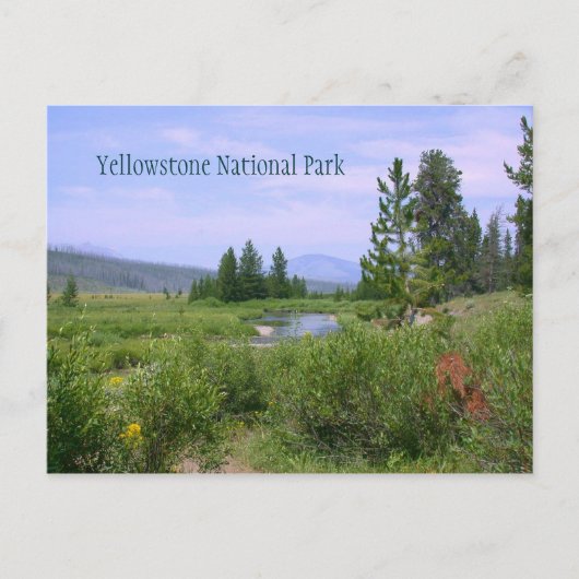 Summer Meadow in Yellowstone Briefkaart (Voorkant)
