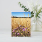 Summer Meadow met Milk Thistle Briefkaart (Staand voorkant)