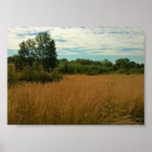 Summer Meadow Poster (Voorkant)
