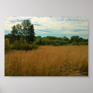 Summer Meadow Poster