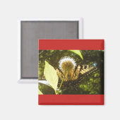 Summer Monarch Square Magnet (Voorkant / Achterkant)