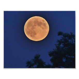 Summer Moon Photo Print Foto Afdruk