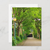 Summer Morning Briefkaart (Voorkant / Achterkant)