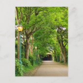 Summer Morning Briefkaart (Voorkant)