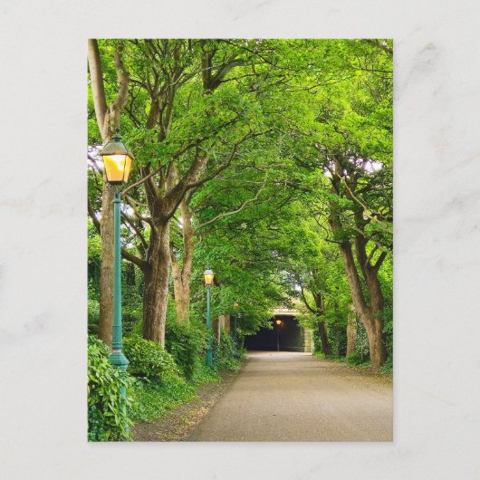 Summer Morning Briefkaart (Voorkant)