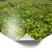 Summer Mountains Foto Afdruk (Hoek)