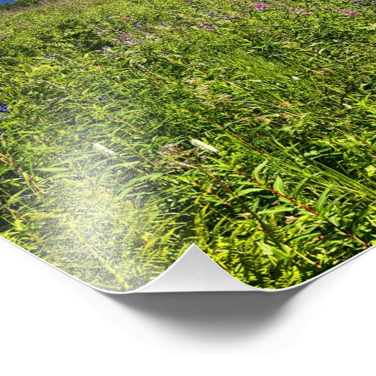 Summer Mountains Foto Afdruk (Hoek)