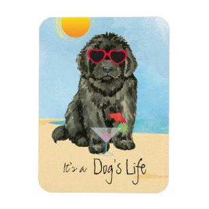 Summer Newfoundland Magnet Magneet