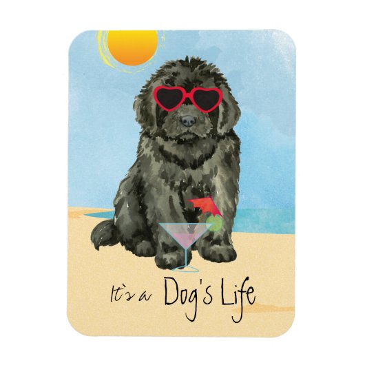 Summer Newfoundland Magnet Magneet (Verticaal)