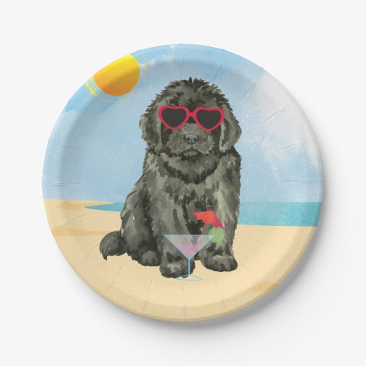 Summer Newfoundland Paper Bord (Voorkant)