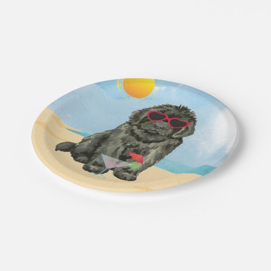 Summer Newfoundland Paper Bord (Gekanteld)