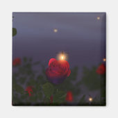 Summer Nightlights Magnet (Voorkant)