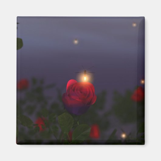 Summer Nightlights Magnet (Voorkant)