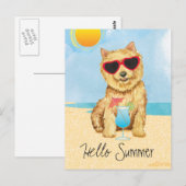 Summer Norwich Terrier-Briefkaart Briefkaart (Voorkant / Achterkant)