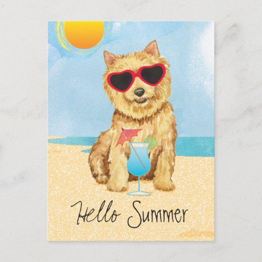 Summer Norwich Terrier-Briefkaart Briefkaart (Voorkant)